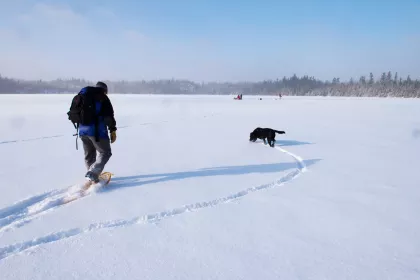 Snowshoeing with dog Round Lake Gunflint Trail