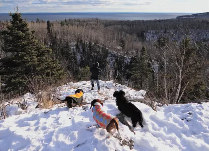 Winter hike with dogs at Tettegouche State Park