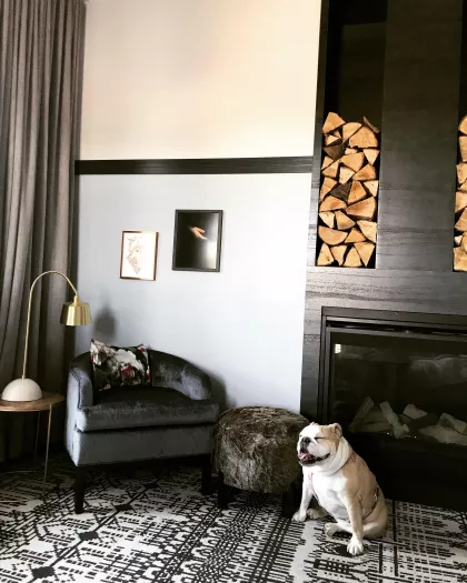 A bulldog inside the dog-friendly Lora Hotel