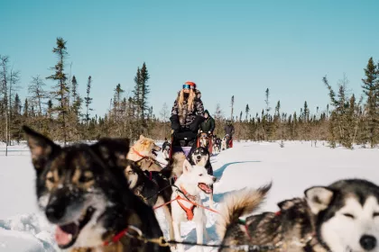 Carly Aplin riding a dog sled