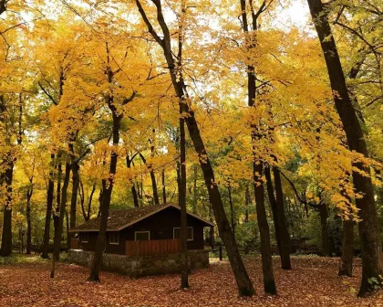 A camper cabin in a hardwood forest in the fall