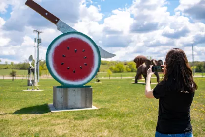 Nyberg Sculpture Park, Vining