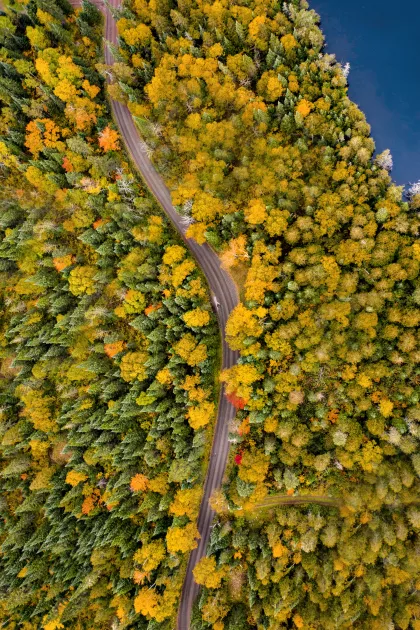 North Shore fall colors drive