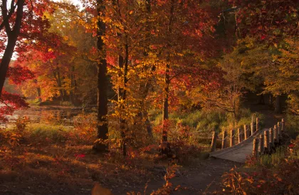 Lake Maria State Park fall scene