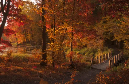 Lake Maria State Park fall scene