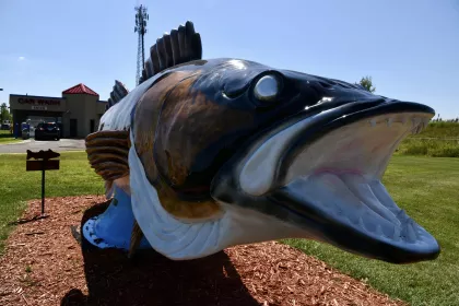 World's Largest Walleye statue. Rush City
