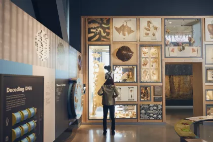 A father and daughter at the Bell Museum in St. Paul