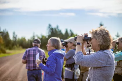 Bird watchers in Duluth