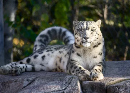 Lake Superior Zoo in Duluth