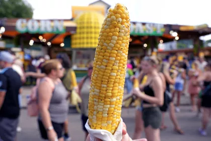 Corn on the cob at the Minnesota State Fair
