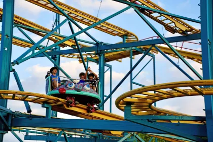 Crazy Mouse at Minnesota State Fair