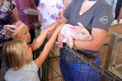 A newborn pig at the Miracle of Birth Center