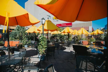 The sun-baked patio of Twigs Tavern &amp; Grille
