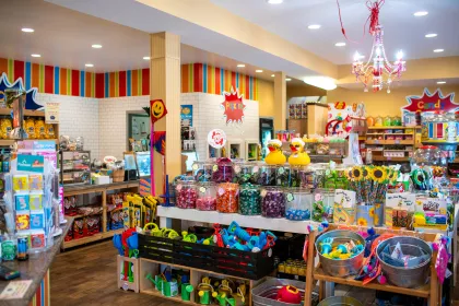 Goose Gang Toys in Perham