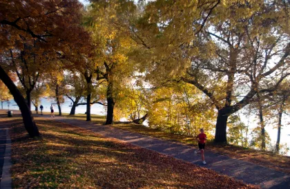 A runner along the Grand Rounds Scenic Byway