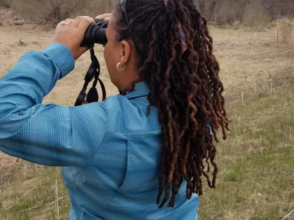 Urban Bird Collective