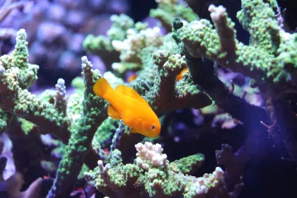 Discovery Bay at Minnesota Zoo