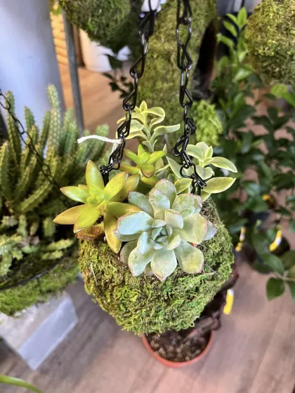 Green Thumb Artistry