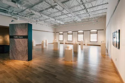 Hitomi Hosono exhibit at Minnesota Marine Art Museum