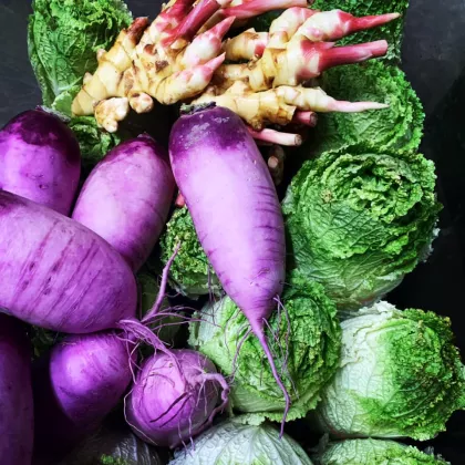 Locally sourced kimchi ingredients at Nosh Scratch Kitchen