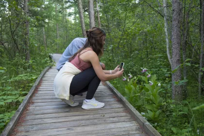 Lake Bemidji State Park bog walk