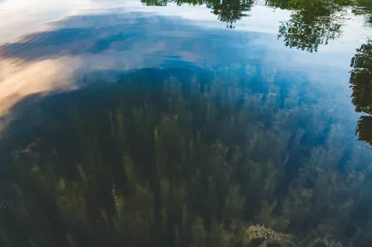 Lake Alice at William O'Brien State Park