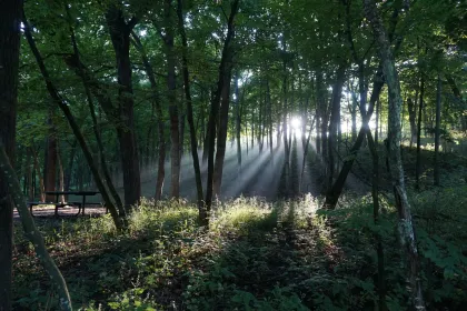 Minnesota Driftless Hiking Trail