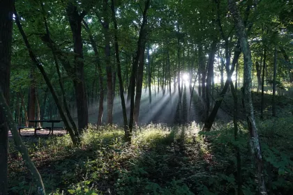 Minnesota Driftless Hiking Trail