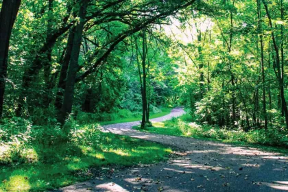 Rice Creek West Regional Trail