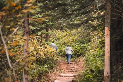Temperance River State Park