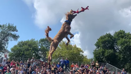 All-Star Stunt Dogs Splash at Minnesota State Fair