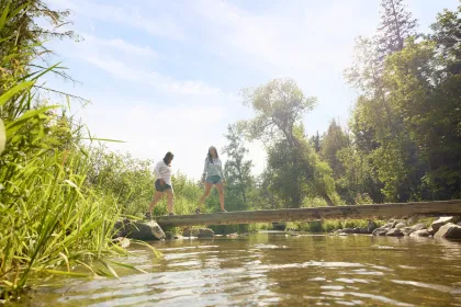 Mississippi River Headwaters at Itasca State Park