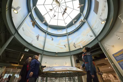 The National Eagle Center in Wabasha