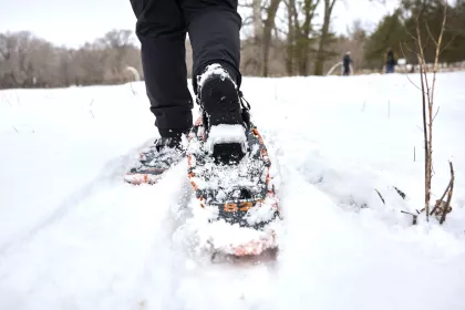 Snowshoeing at Northland Arboretum
