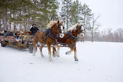 Grand View Lodge horse tour