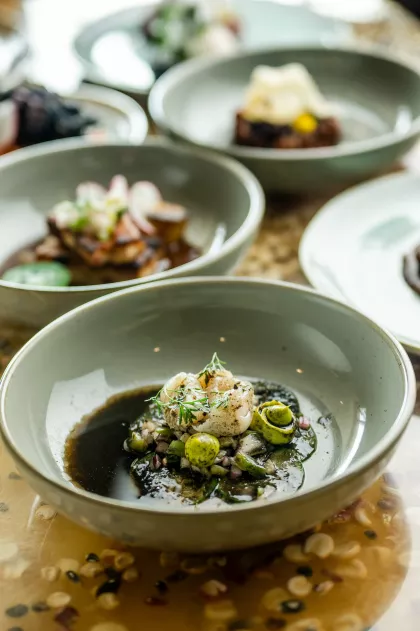 A parade of small plates at Oro by Nixta