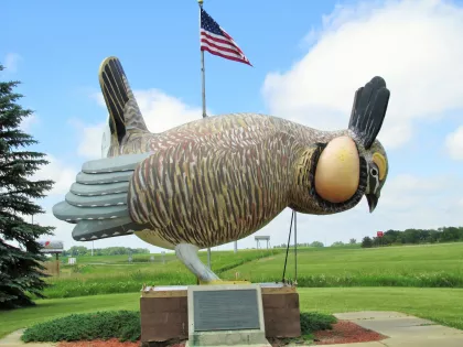 World's Largest Prairie Chicken