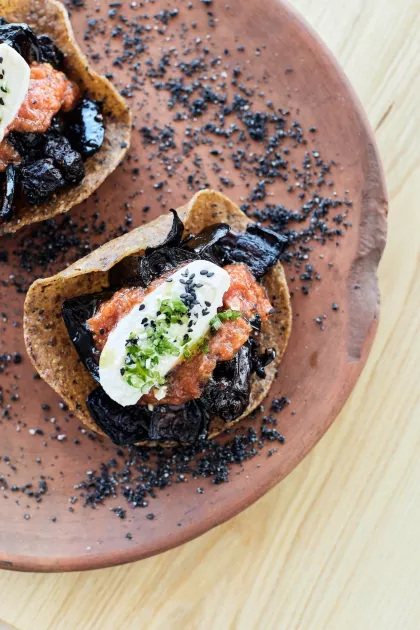 Charred eggplant tostadas with roasted tomato, sesame, lime and burrata at Colita