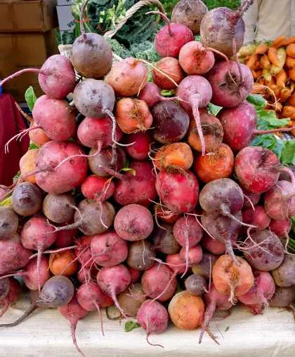 Root vegetables at Mill City Farmers Market