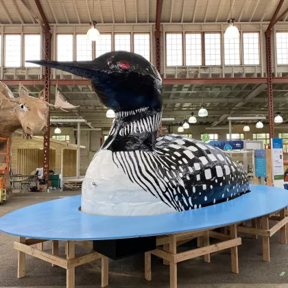 World's Largest Floating Loon