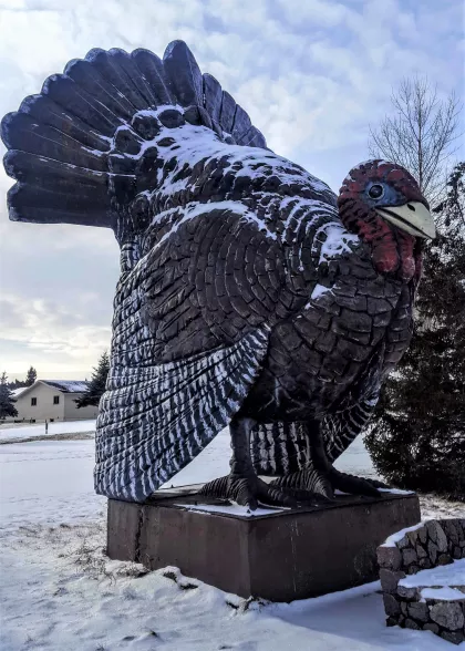 World's Largest Turkey