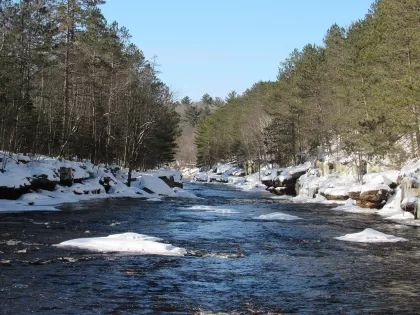 Banning State Park during the winter