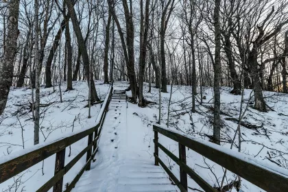 Frontenac State Park during the winter