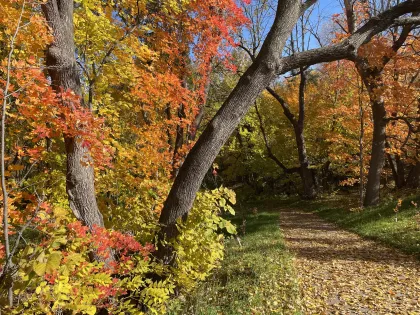 A fall trail at the Minnesota Landscape Arboretum