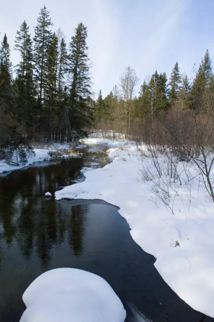 Itasca State Park near the Mississippi Headwaters during the winter