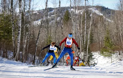 A cross-country ski race at Giants Ridge