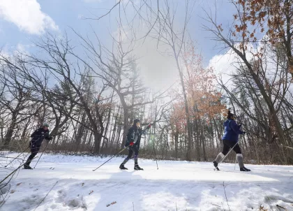 A group of friends ski at Theodore Wirth Regional Park