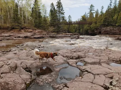 Gooseberry Falls State Park