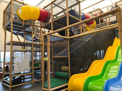 Backyard Indoor Playground in Golden Valley