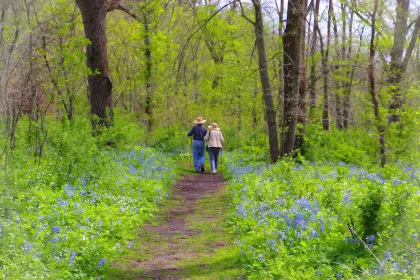 A couple walks in Carley State Park